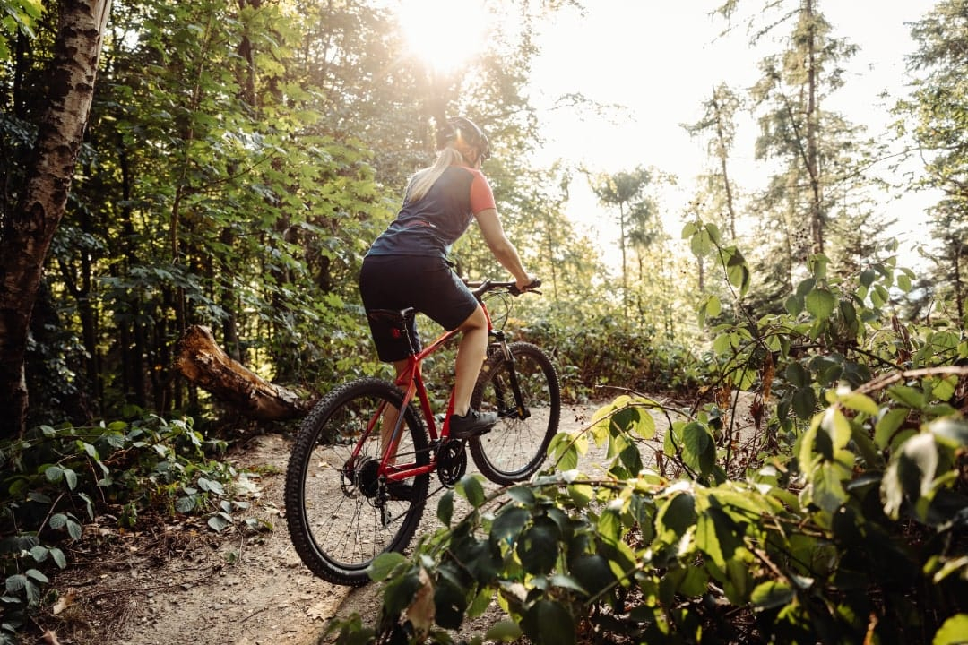 29 Zoll Mountainbikes bei Lucky Bike