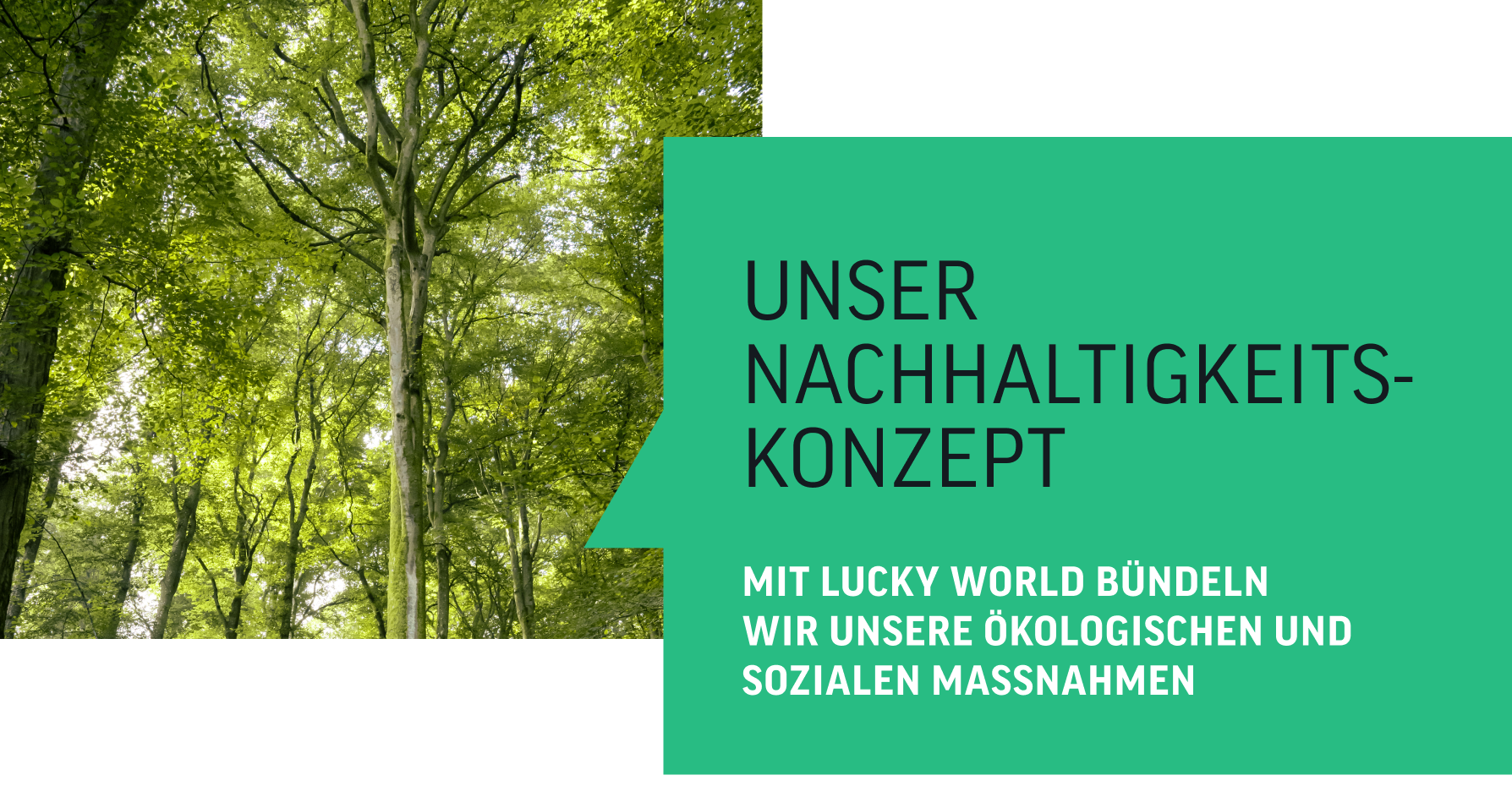 Unser Nachhaltigkeitskonzept: Wir agieren nachhaltig und respektieren Mensch und Natur