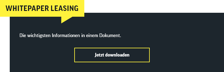Whitepaper zum Fahrradleasing von LuckyBike (PDF, öffnet in neuem Fenster)