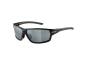 Alpina Tri-Scray 2.0 Sportbrille schwarz