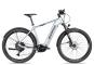 Axess Force PRO Allroad 21 Zoll | misty silver matt/black/sky