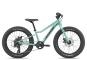 Cannondale Kids Trail Plus 20 2026 unisize | cactus green