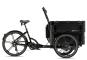 Cargobike of Sweden DeLight Kindergarten unisize | schwarz
