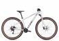 Cube Access WS EXC 2023 M | lightgrey´n´rose | 29 Zoll