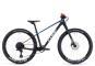 Cube Elite 240 C:62 PRO 2026 unisize | carbon´n´blue´n´red