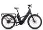 Cube Longtail Hybrid 1350 2025 unisize | grey´n´reflex