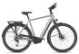 Gazelle Chamonix T10 HMS 2026 53 cm | brewster grey gloss