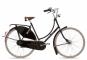 Gazelle Tour Populair T8 Wave 2024 51 cm | schwarz