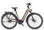 KTM MACINA CITY P610 RT Wave 2025 51 cm | oak matt/champagne orange