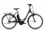 Raleigh CARDIFF LB Plus 47 cm | techgreen matt | 28 Zoll