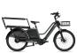 Tenways Longtail DUO 2026 47 cm | grey