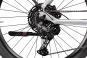 Axess Rotation 20 Zoll | quiksilver matt/laser/black