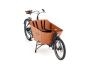 Babboe City Mountain ENV HD 500 50 cm | braun | 26 Zoll