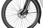 Gazelle Arroyo C8 Elite Wave 2026 57 cm | light olive