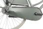 Gazelle Classic R3T Wave 2026 57 cm | moss green matt | 28 Zoll