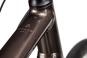 Axess CREED PRO 57 cm | mocha