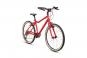 Academy Grade 5 2025 38 cm | red | 24 Zoll