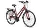 Adler Verona Trapez 50 cm | cherryred matt