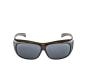 Alpina Overview Radbrille black transparent gloss