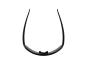 Alpina Turbo Radbrille black matt gold mirror