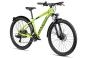 Axess SANDEE ATB 14 Zoll | matt green