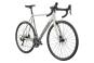 Cannondale CAAD14 3 2026 56 cm | chalk