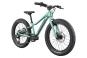 Cannondale Kids Trail Plus 20 2026 unisize | cactus green