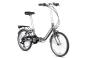 Chirp Swan 6 unisize | grey matt/silver/lime