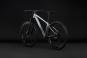 Cube Aim Pro 2027 L | grey´n´black