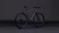 Cube Editor SLX 2026 50 cm | ammolite´n´reflex