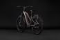 Cube Kathmandu Hybrid ONE 800 Trapez 2027 46 cm | cedar´n´chrome