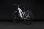Cube Kathmandu Hybrid ONE 800 Trapez 2027 50 cm | silverstar´n´reflex