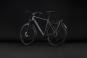 Cube Kathmandu Pro 2027 54 cm | slabgrey´n´chrome