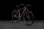 Cube Nature PRO Allroad 2023 S | gold´n´black | 28 Zoll