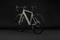 Cube Nuroad EX 2027 M | oatgrey´n´black