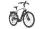 Gazelle Chamonix T10 HMS 2026 53 cm | brewster grey gloss