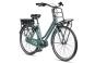 Gazelle HeavyDutyNL C7+ HMB H7 Wave 2025 49 cm | thyme green