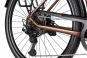 KTM MACINA STYLE 720 2025 46 cm | sunset matt/champagne black