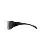 Alpina Overview Radbrille black transparent gloss