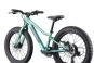 Cannondale Kids Trail Plus 20 2026 unisize | cactus green