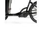 Cargobike of Sweden DeLight Kindergarten unisize | schwarz