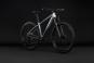 Cube Aim Pro 2027 L | grey´n´black