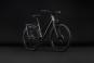 Cube Kathmandu Pro Trapez 2027 54 cm | slabgrey´n´chrome