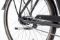 Raleigh CARDIFF LB Plus 47 cm | techgreen matt | 28 Zoll