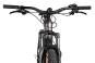 Trek Powerfly FS+ 4 EQ 800 2026 L | mercury/dark web