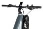 Axess Force PRO Allroad 21 Zoll | misty silver matt/black/sky