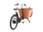 Babboe City Mountain ENV HD 500 50 cm | braun | 26 Zoll