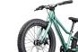 Cannondale Kids Trail Plus 20 2026 unisize | cactus green