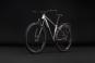 Cube Aim Pro FE 2027 L | grey´n´black