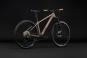 Cube Aim SLT 2027 S | cappuccino´n´black
